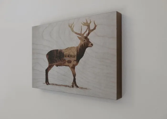 Retraite Alpine, Paisible Et Renove * 洛伊克巴德